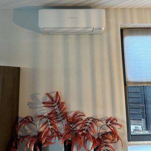 Een wandgestuurde airconditioner is geïnstalleerd, gemonteerd op een muur met decoratieve planten eronder.