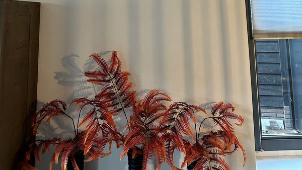 Efficiënte airco installatie in Beekbergen