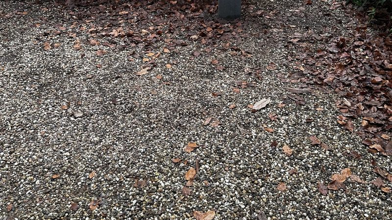 Moderne Meterkast en Laadpaal in Apeldoorn