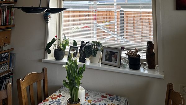 Efficiënte airco-installatie thuis in Apeldoorn