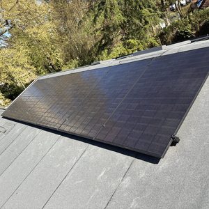 12 all-black zonnepanelen in Hoog Soeren - Afbeelding 10