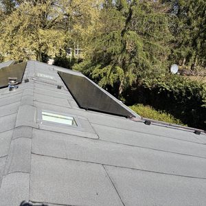 12 all-black zonnepanelen in Hoog Soeren - Afbeelding 4